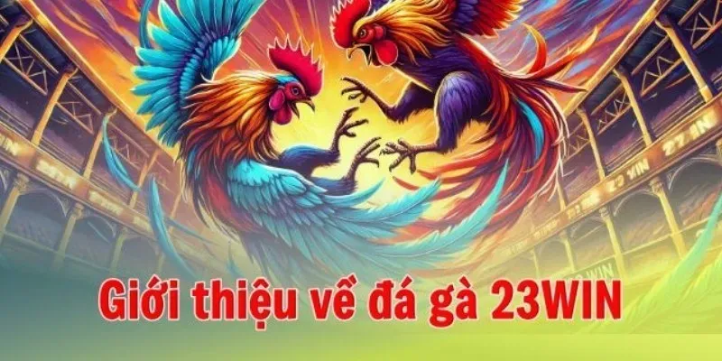 Thông tin giới thiệu về mục đá gà 23win