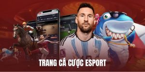 trang cá cược esport